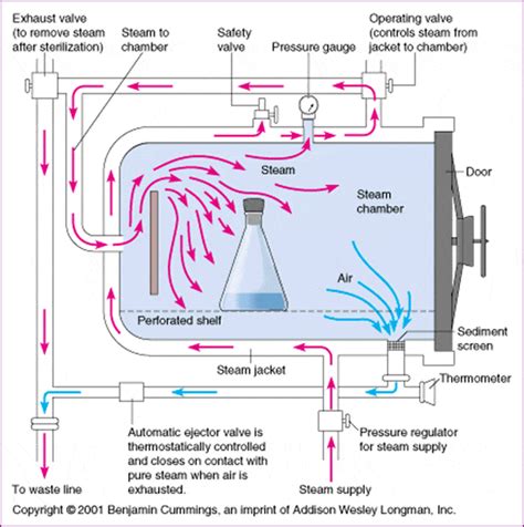 Leaking During Steam Cycle